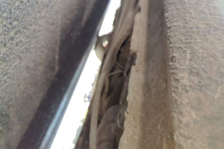 Used Volkswagen Sagitar 2017 230TSI Automatic Comfort Version Chassis Rear Left