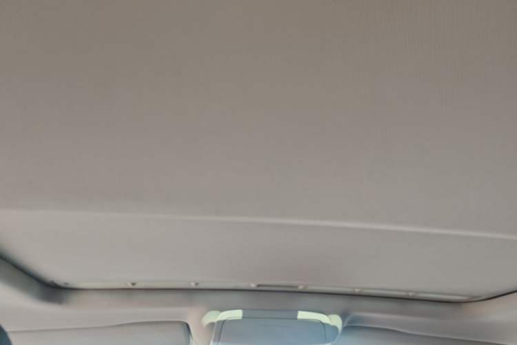 Used Volkswagen Sagitar 2018 280TSI DSG Luxury Model Headliner