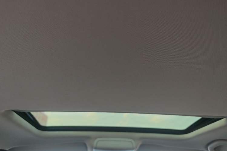Used Volkswagen Sagitar 2018 1.6L Manual Comfort Model Headliner