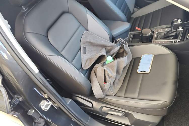Used Volkswagen Sagitar 2019 280TSI DSG Comfort Version China VI Standard Right Front Seat