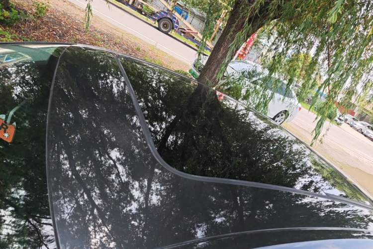 Used Volkswagen Sagitar 2019 280TSI DSG Luxury Version China VI Standard Roof