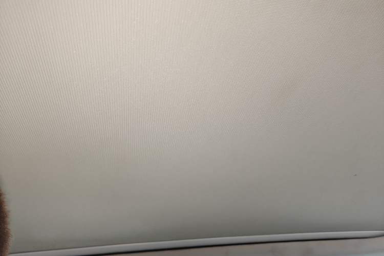 Used Volkswagen Sagitar 2019 280TSI DSG Comfort Version China VI Standard Headliner