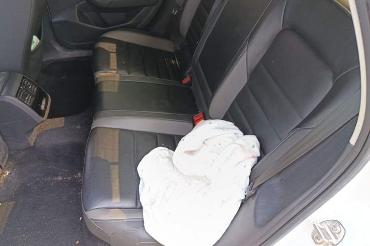Used Volkswagen Sagitar 2019 280TSI DSG Comfort Version China V Standard Left Rear Seat