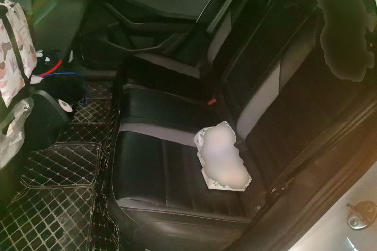 Used Volkswagen Sagitar 2019 280TSI DSG Comfort Version China VI Standard Left Rear Seat