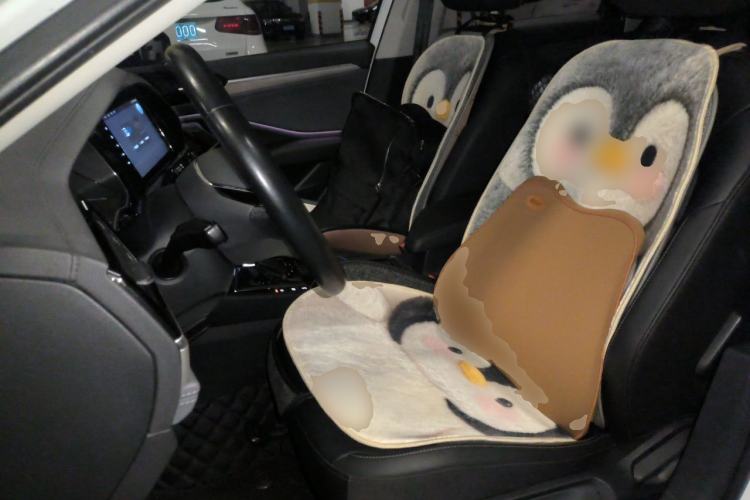 Used Volkswagen Sagitar 2020 280TSI DSG Comfort Version China VI Standard Left Front Seat
