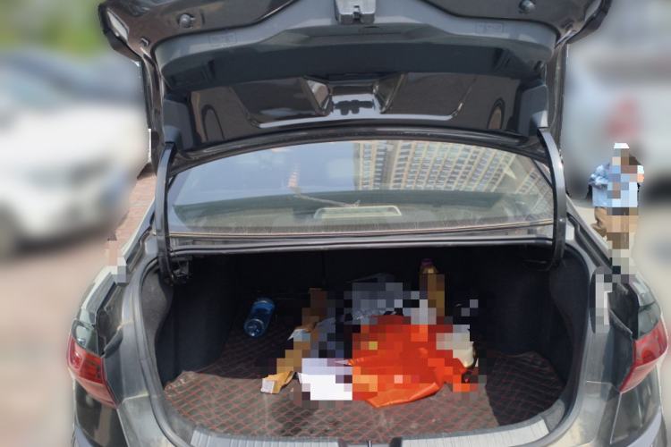 Used Volkswagen Sagitar  Trunk