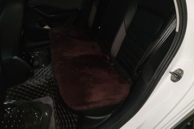 Used Volkswagen Sagitar 2021 280TSI DSG 30th Anniversary Edition Left Rear Seat