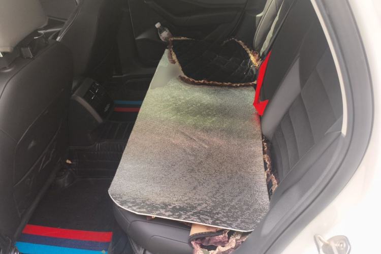 Used Volkswagen Sagitar 2021 280TSI DSG Excellence Edition Left Rear Seat