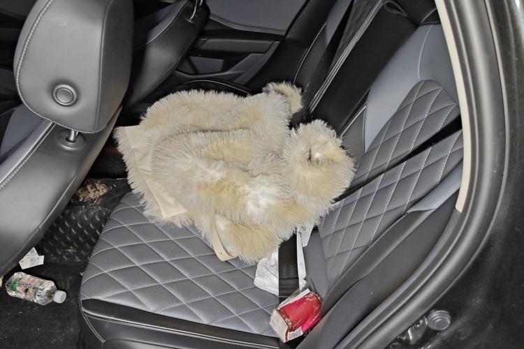 Used Volkswagen Sagitar 2023 300TSI DSG Excellence Edition Left Rear Seat