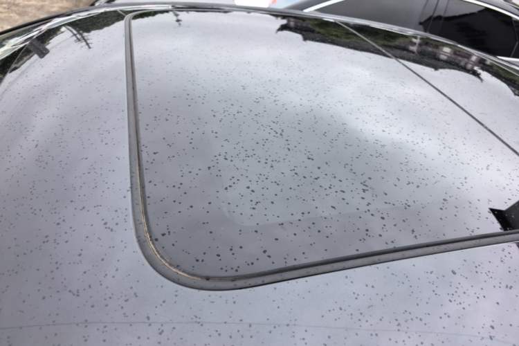 Used Volkswagen Sagitar 2023 300TSI DSG Excellence Edition Roof