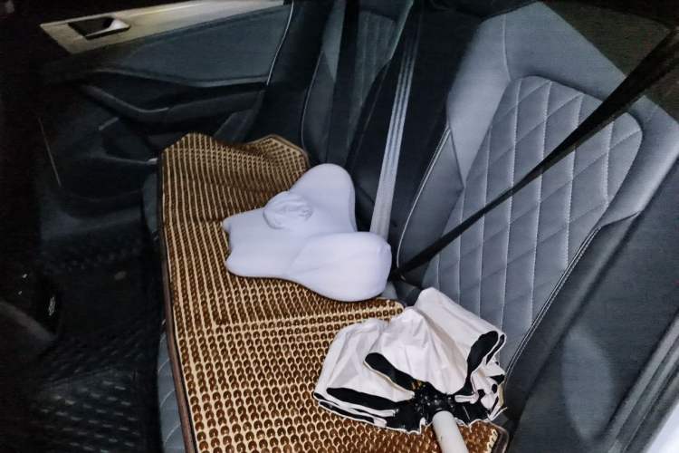 Used Volkswagen Sagitar 2023 300TSI DSG Excellence Edition Left Rear Seat