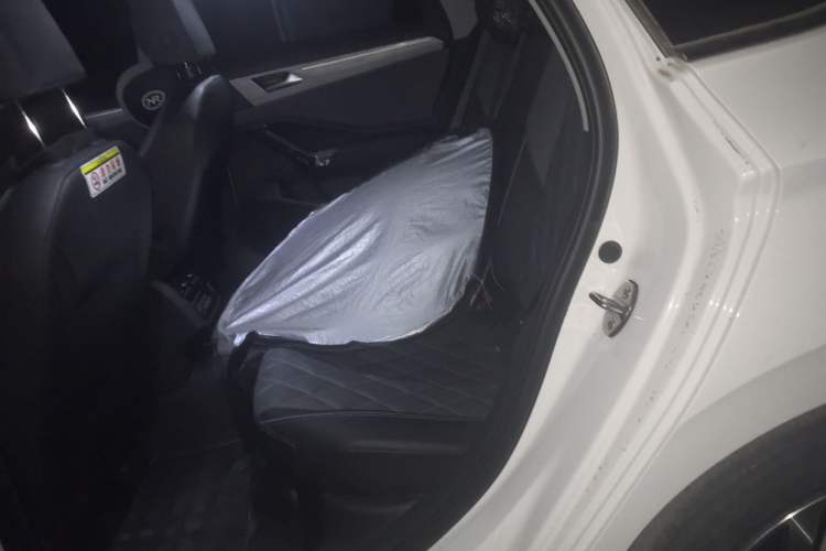 Used Volkswagen Sagitar 2023 300TSI DSG Excellence Edition Left Rear Seat