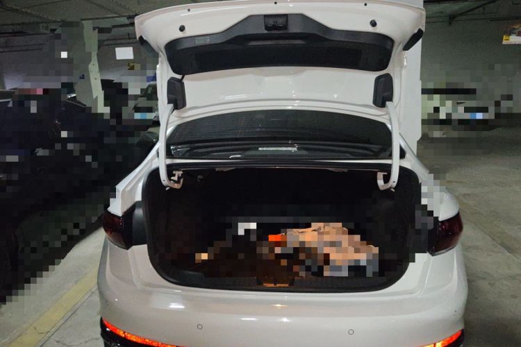 Used Volkswagen Sagitar 2023 300TSI DSG Excellence Edition Trunk