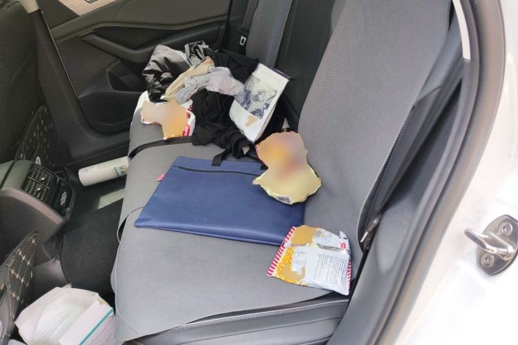 Used Volkswagen Sagitar 2024 300TSI DSG Excellence Edition Left Rear Seat