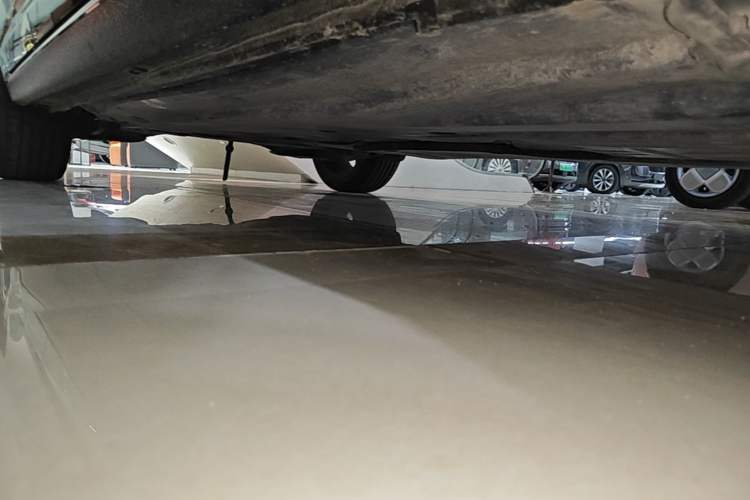 Used Volkswagen Sagitar 2025 Revised Version 2 300TSI DSG Excellence Edition Right Side Sill