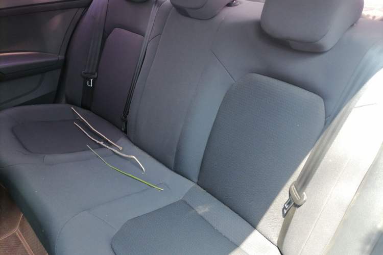 Used Volkswagen Santana 2015 1.4L Manual Fashion Edition Left Rear Seat