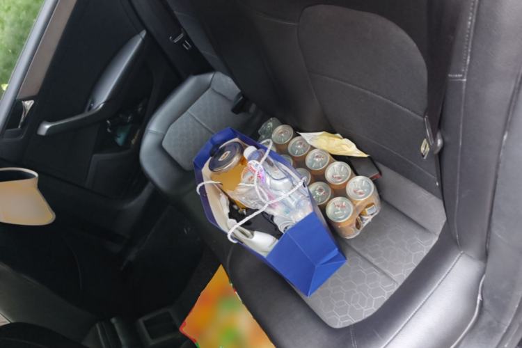 Used Volkswagen Santana 2015 1.6L Automatic Comfort Edition Left Rear Seat