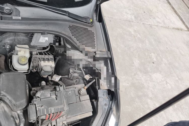 Used Volkswagen Santana 2015 1.6L Manual Comfort Edition Engine Bay Left