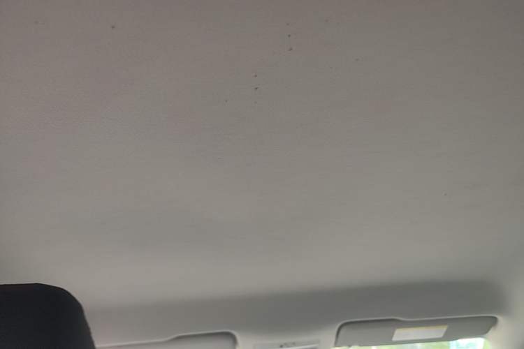 Used Volkswagen Santana 2015 1.6L Manual Fashion Edition Headliner