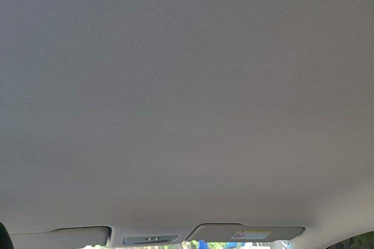 Used Volkswagen Santana 2016 1.6L Manual Fashion Edition Headliner