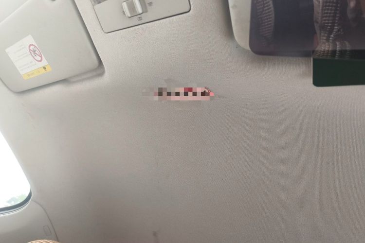 Used Volkswagen Santana 2016 1.6L Manual Fashion Edition Headliner