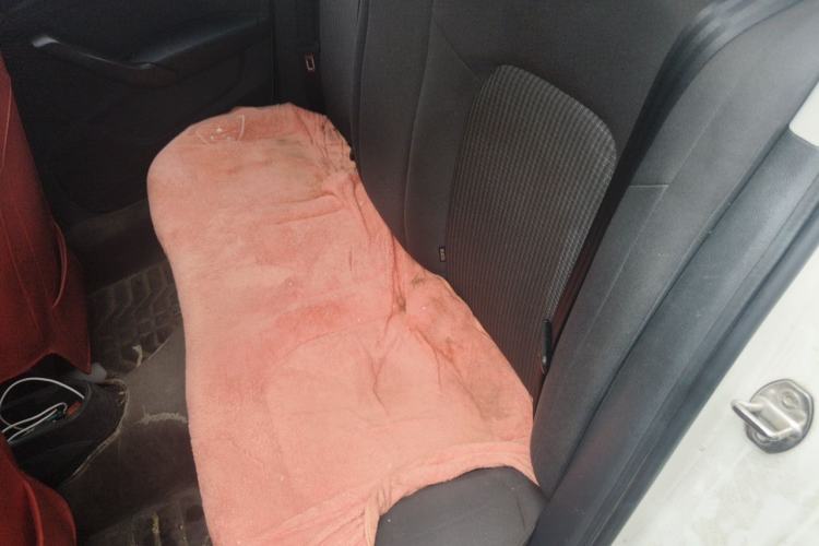 Used Volkswagen Santana 2016 1.4L Manual Fashion Edition Left Rear Seat