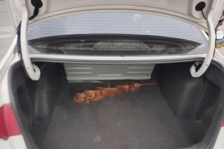 Used Volkswagen Santana 2016 1.6L Automatic Comfort Edition Trunk