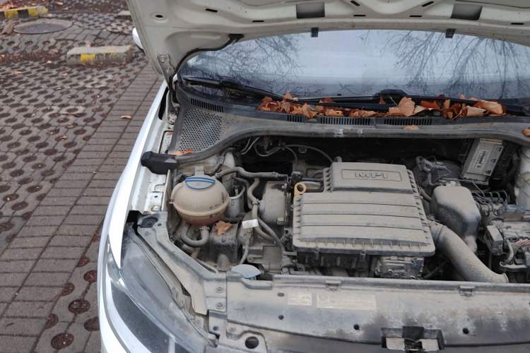 Used Volkswagen Santana 2018 1.5L Manual Fashion Edition Engine Bay Right