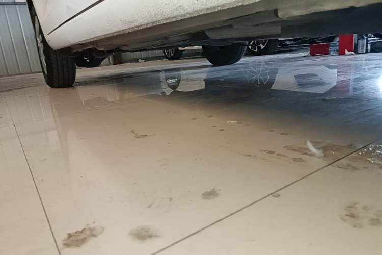 Used Volkswagen Santana 2018 1.5L Automatic Fashion Edition Right Side Sill