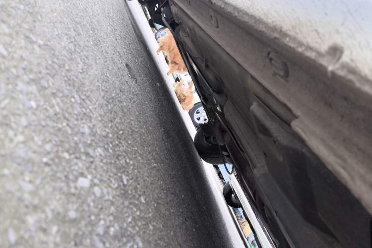 Used Volkswagen Santana 2018 1.5L Manual Fashion Edition Right Side Sill