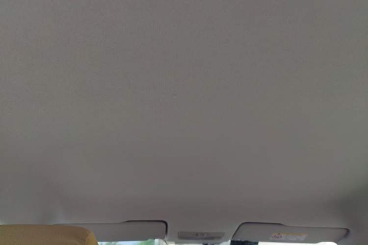 Used Volkswagen Santana 2019 1.5L Manual Fashion Edition China VI Standard Headliner