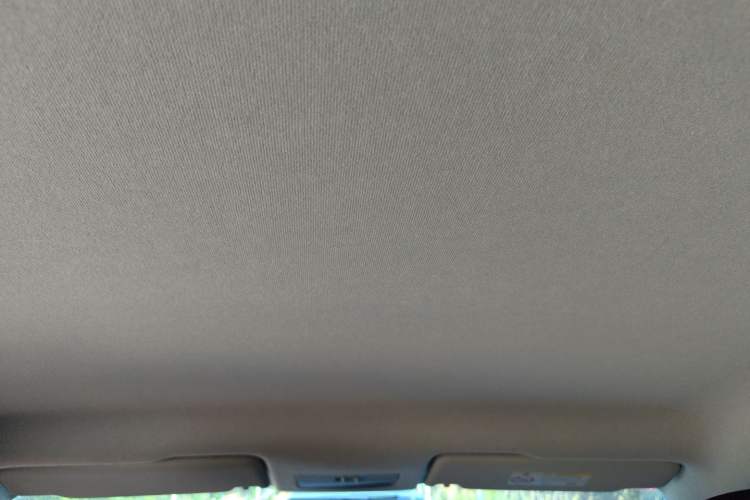 Used Volkswagen Santana 2019 1.5L Manual Fashion Edition China VI Standard Headliner