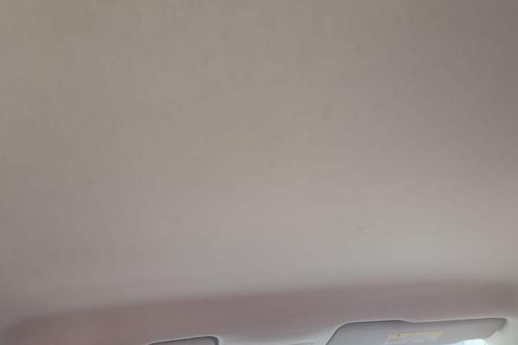 Used Volkswagen Santana 2019 1.5L Manual Fashion Edition China VI Standard Headliner