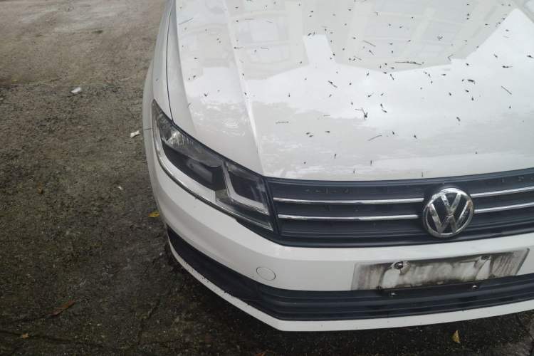 Used Volkswagen Santana 2019 1.5L Manual Fashion Edition China VI Standard Right Front Headlight