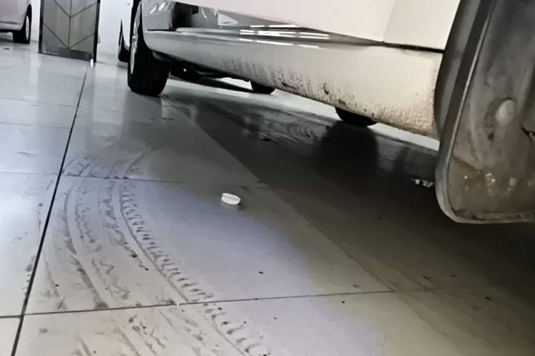 Used Volkswagen Santana 2019 1.5L Automatic Fashion Edition China VI Right Side Sill