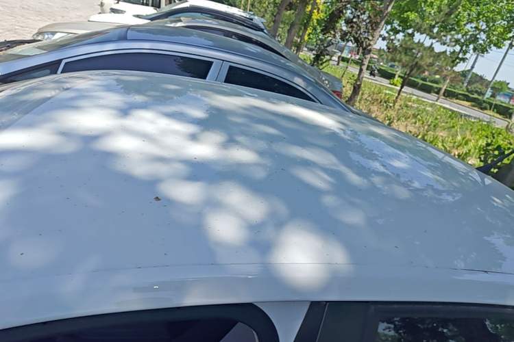 Used Volkswagen Santana 2019 1.5L Automatic Fashion Edition China VI Roof