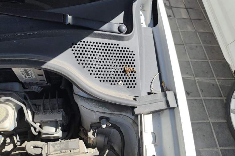 Used Volkswagen Santana 2021 1.5L Automatic Fashion Edition Engine Bay Left