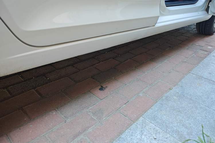 Used Volkswagen Santana 2021 1.5L Automatic Fashion Edition Right Side Sill