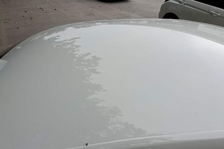 Used Volkswagen Santana 2021 1.5L Manual Fashion Edition Roof
