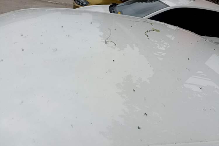 Used Volkswagen Santana 2021 1.5L Manual Fashion Edition Roof