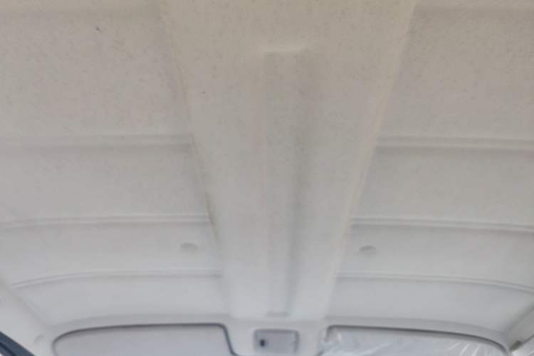 Used Volkswagen Santana Classic 2007 1.8L Jingchang Model Headliner