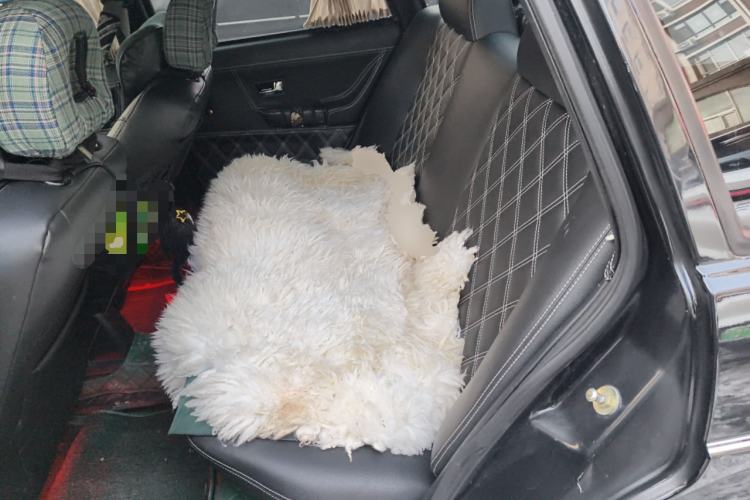 Used Volkswagen Santana Classic 2007 1.8L Jingchang Model Left Rear Seat