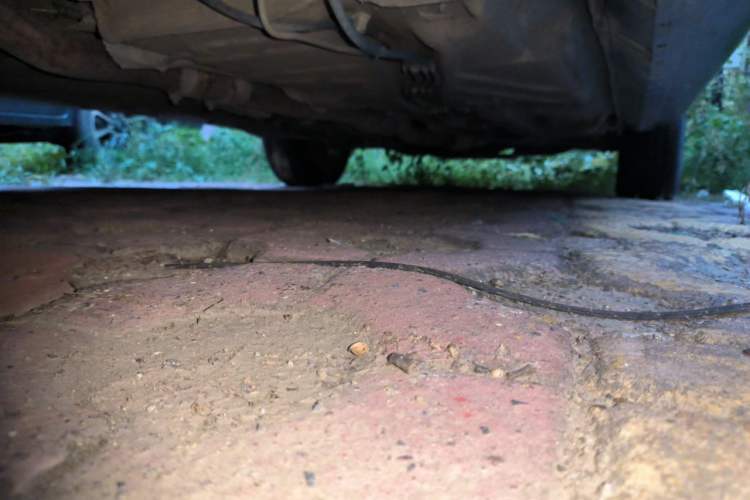 Used Volkswagen Santana Vista 2008 1.8L Manual Comfort Edition Chassis Rear Right