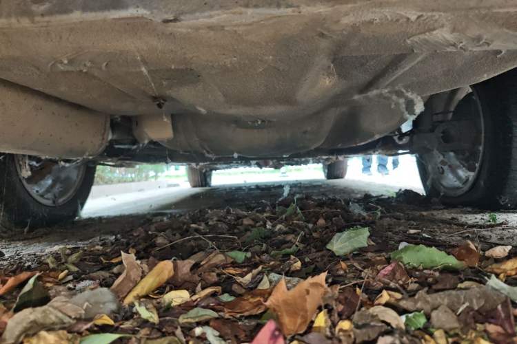 Used Volkswagen Santana Vista 2008 1.8L Manual Sishang Model Chassis Rear