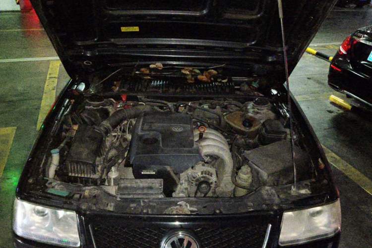 Used Volkswagen Santana Vista 2008 1.8L Manual Sishang Model Engine Bay