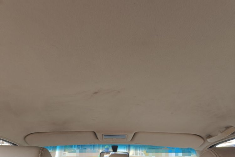 Used Volkswagen Santana Vista 2008 1.8L Manual Comfort Edition Headliner