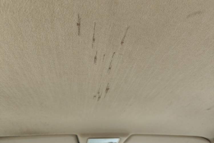 Used Volkswagen Santana Vista 2008 1.8L Manual Sishang Model Headliner