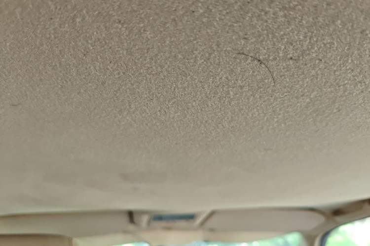 Used Volkswagen Santana Vista 2008 1.8L Manual Comfort Edition Headliner