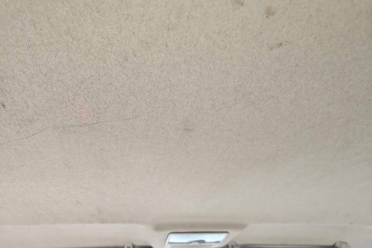 Used Volkswagen Santana Vista 2008 1.8L Manual Comfort Edition Headliner