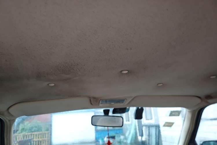 Used Volkswagen Santana Vista 2008 1.8L Manual Sishang Model Headliner